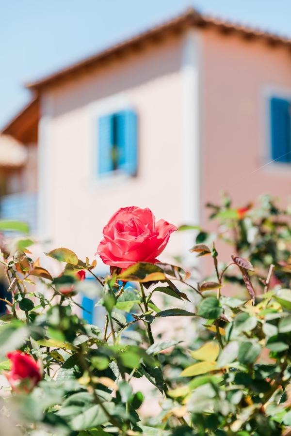 Alexandros Apartments Nydri Екстериор снимка